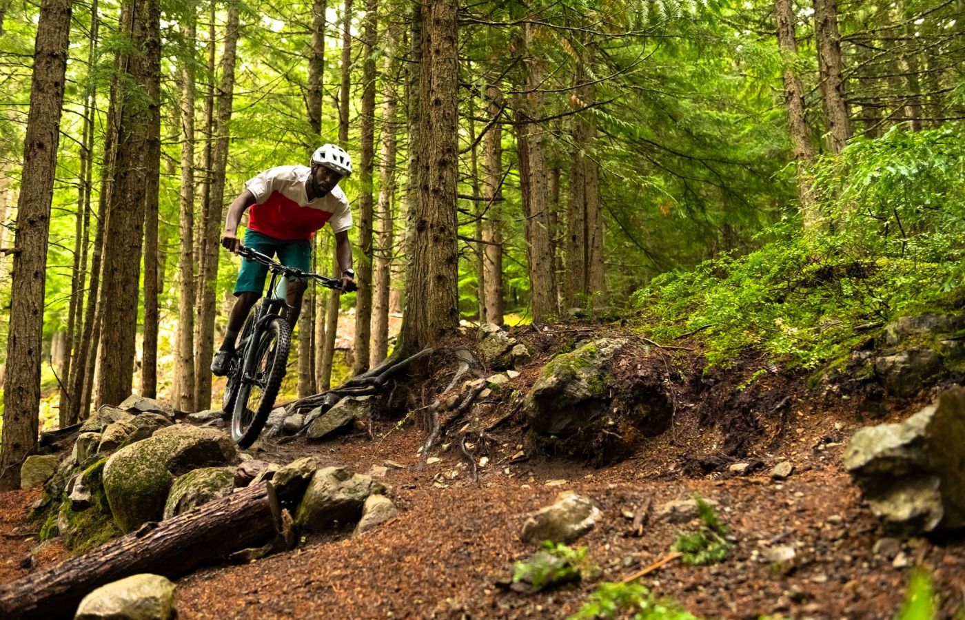 Young man mountain biking on a wooded trail